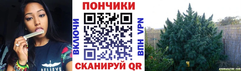 Шишки марихуана ГИДРОПОН  Купить  Шилка 